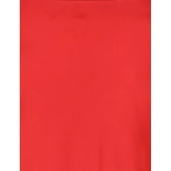 AcaraBBJoanelle skirt