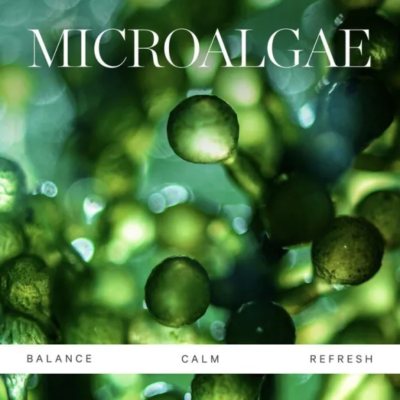 Active Algae Lightweight Moisturizer Refill Pod
