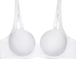 Amourette WP