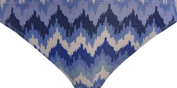 ARIZONA WAVE ITALINI BIKINI BRIEF