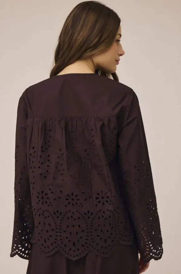 Asta 21 - 100% Organic Cotton GOTS