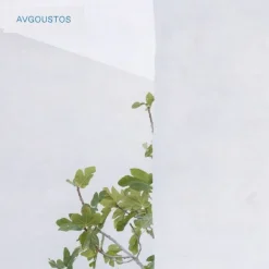 Avgoustos Eau De Toilette