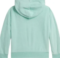 Bear Hoodie
