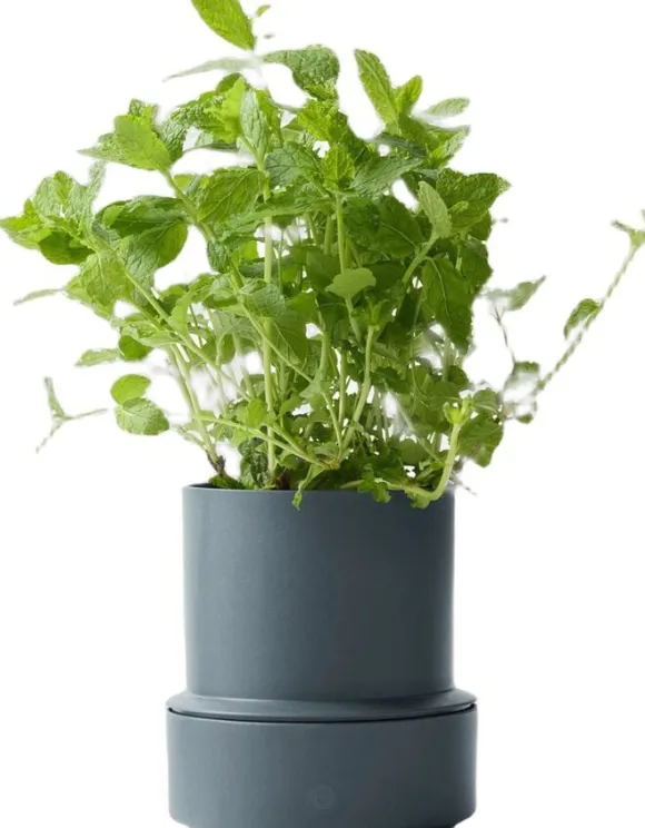 Billund self-watering pot