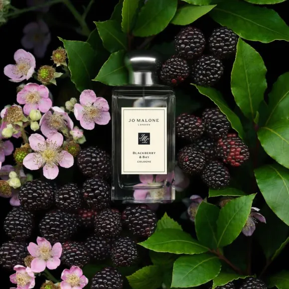 Blackberry & Bay Cologne