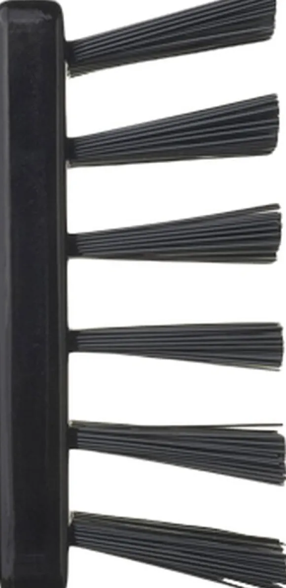BN1 - Popular