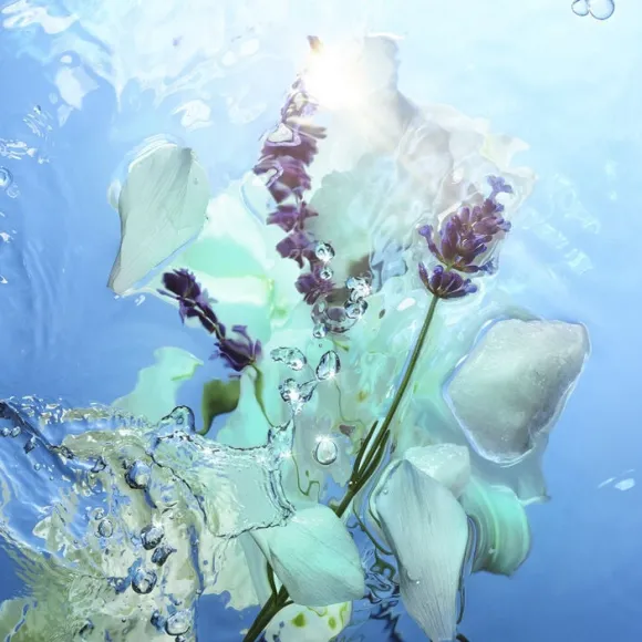 Calm Bliss - Eau de Parfum
