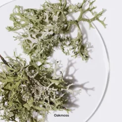 Calyx Fragrance