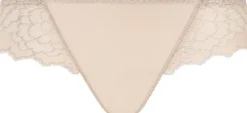 CARESSE Brief