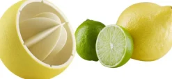 Citruspress
