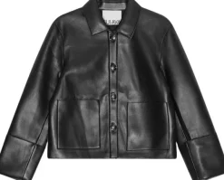 Collared Jacket
