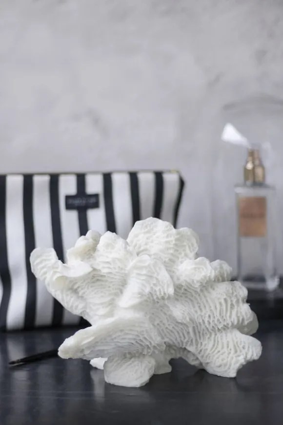 Coral, large fan