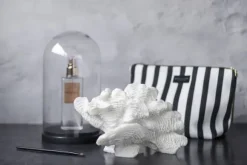 Coral, large fan