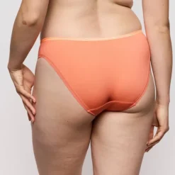 Devdaha rio briefs