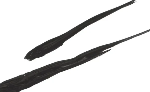 Eye Liner Pen