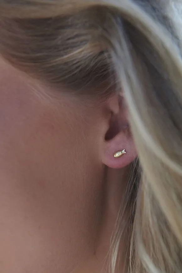 Global Goal #14: Fish Studs