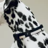 HAY Dogs Collar Flat-M/L-Black, whi