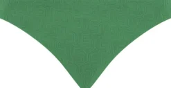 Hera Brief