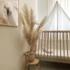 Himmelpind til Linea babyseng, Bøg