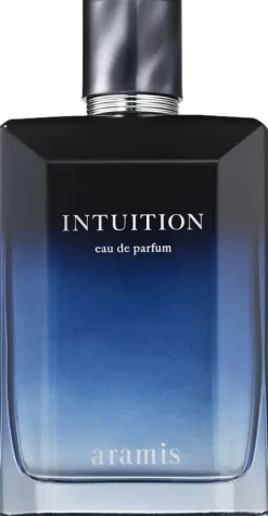 Intuition