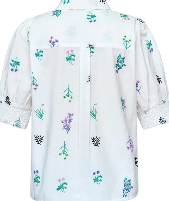 ISOLA-SS16