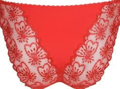 Jane Italian briefs