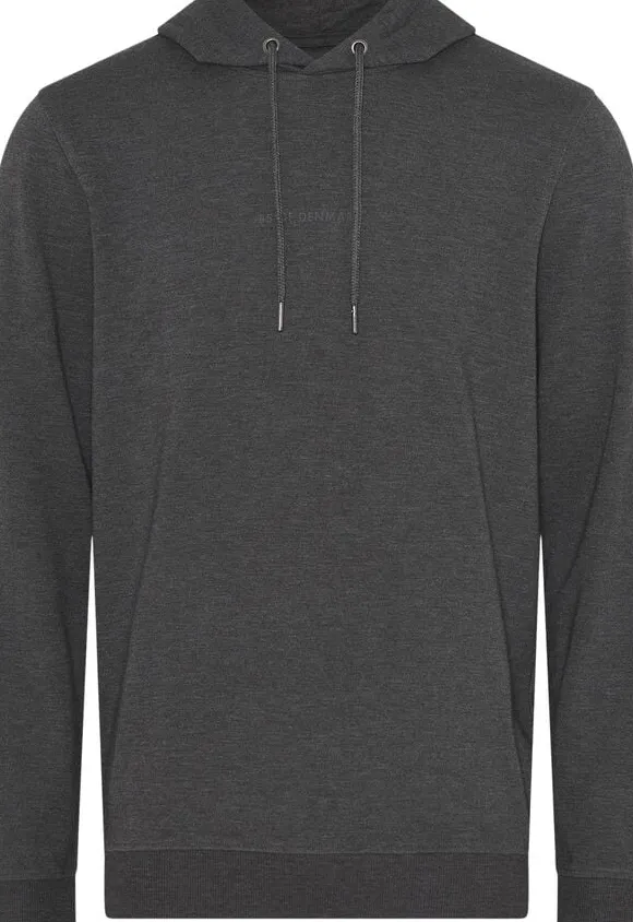 JBS of Denmark Logo hoodie