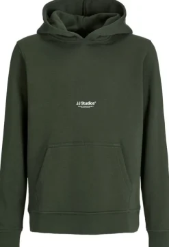 JJESOHO SWEAT HOOD NOOS JNR