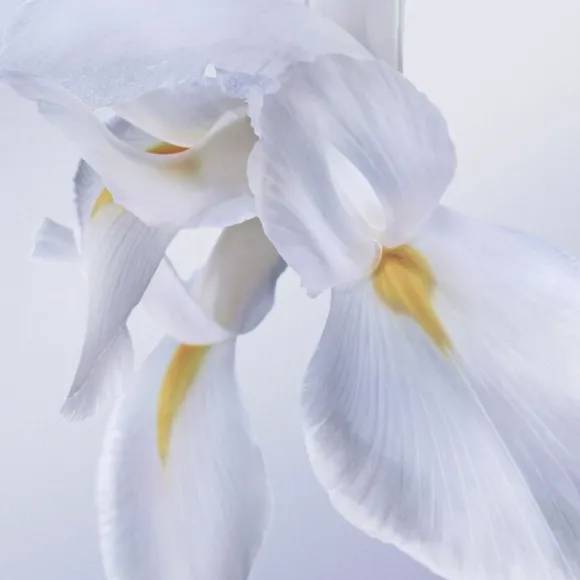La vie est belle ROSE EXTRAORDINAIRE Eau de Parfum