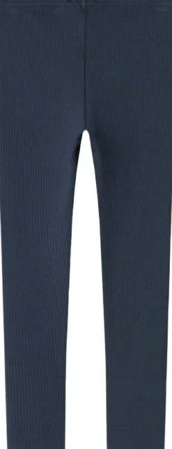 Leg