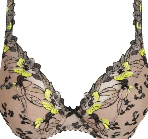 Manali half padded plunge bra