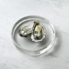 Mass Dish �17 Glass