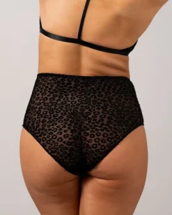 Mesh Highwaist Briefs