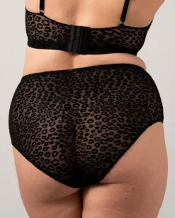 Mesh Highwaist Briefs