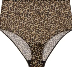 Mesh Highwaist Briefs