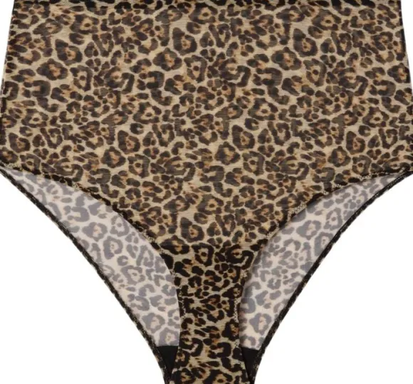Mesh Highwaist Briefs