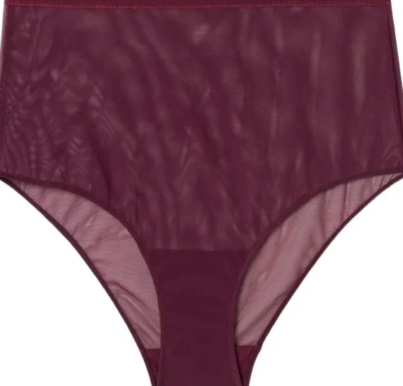 Mesh Highwaist Briefs