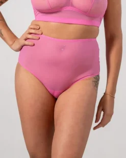Mesh Highwaist Briefs