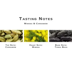 Mimosa & Cardamom Cologne