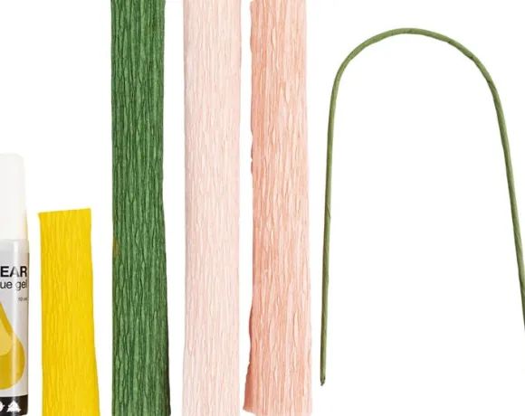 Mini DIY Kit Crepepapir, Pæon