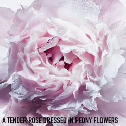 Miss Dior Blooming bouquet roller-pearl