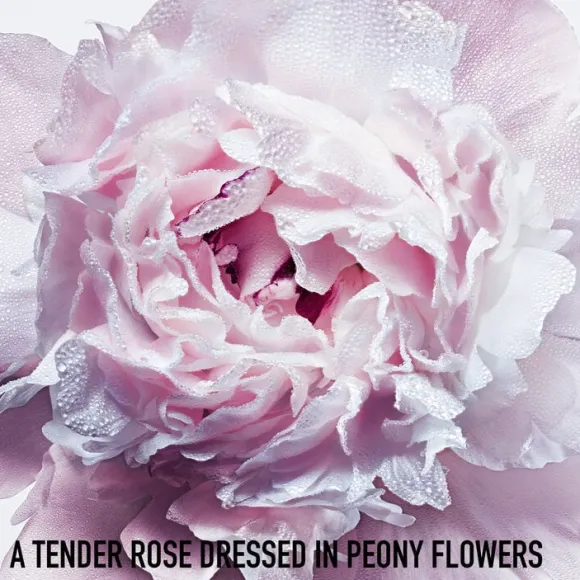 Miss Dior Blooming bouquet roller-pearl