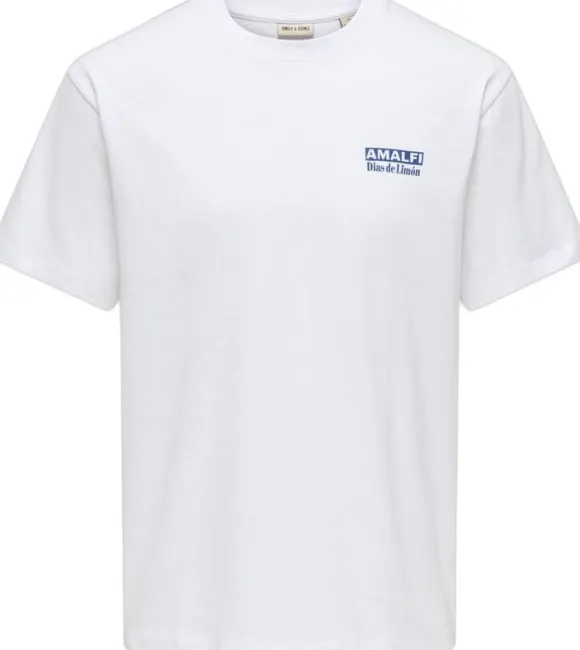 ONSFRED LIFE RLX SS PRINT TEE NOOS