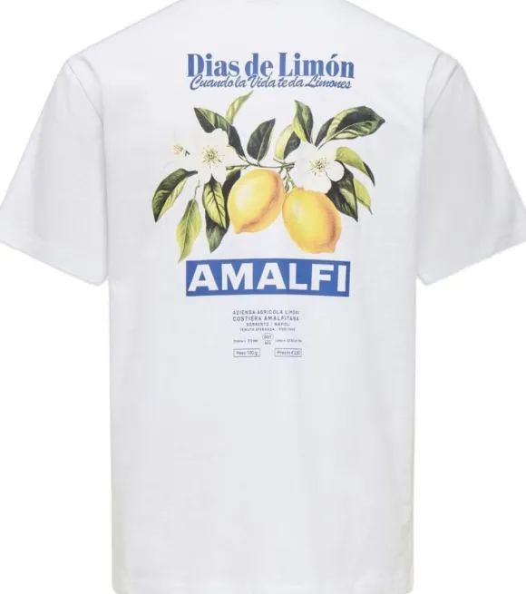 ONSFRED LIFE RLX SS PRINT TEE NOOS