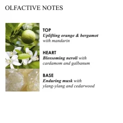 Orange & Bergamot Body Lotion