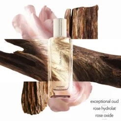 Oud Alezan, Eau de Parfum, 100ml