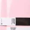 Pantone BOOKLETS SET OF 2 DOTTED - Light Pink