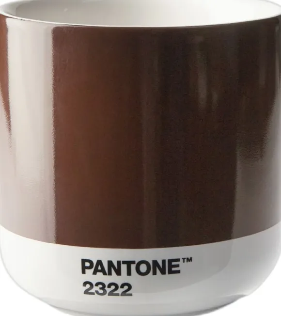 Pantone CORTADO THERMO CUP Brown 2322