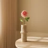 Peony Flower