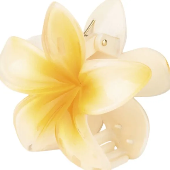 Plumeria Hawaii Big